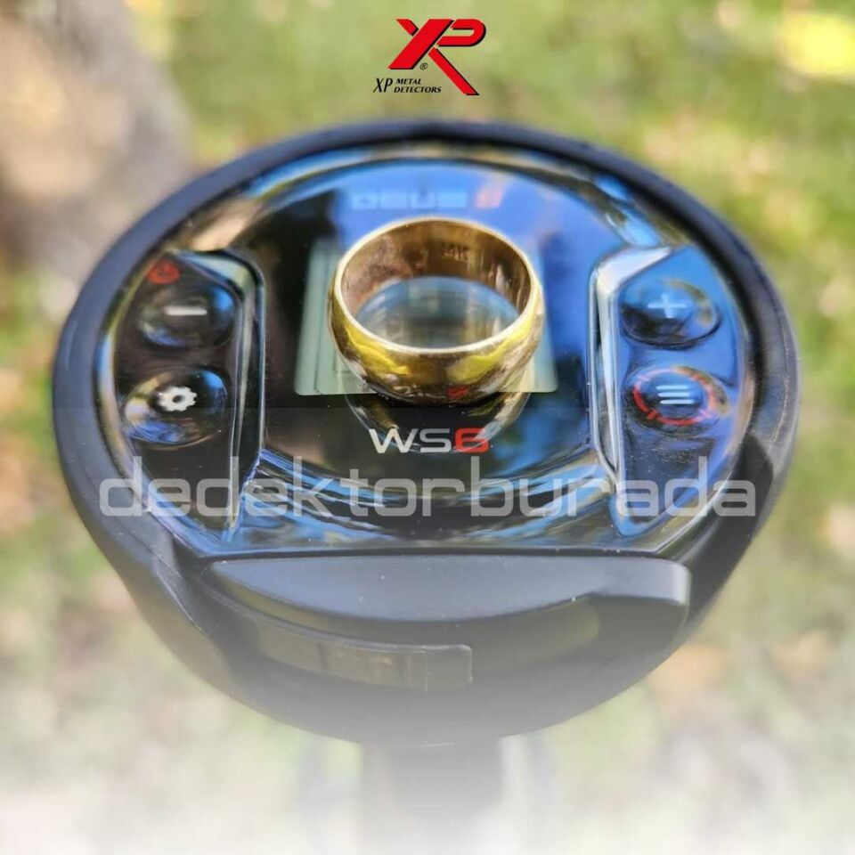 Deus 2 Dedektör- DÖNÜŞÜM PAKETİ - 28cm FMF Başlık, WS6 Master