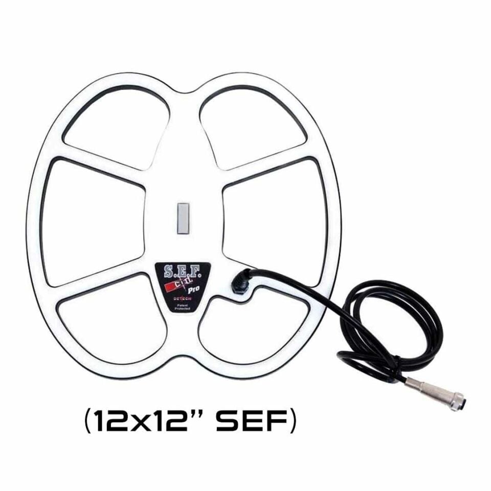 EDS GOLD CATCHER Dedektör (6''+10'' Kapalı+12x12'' Sef)