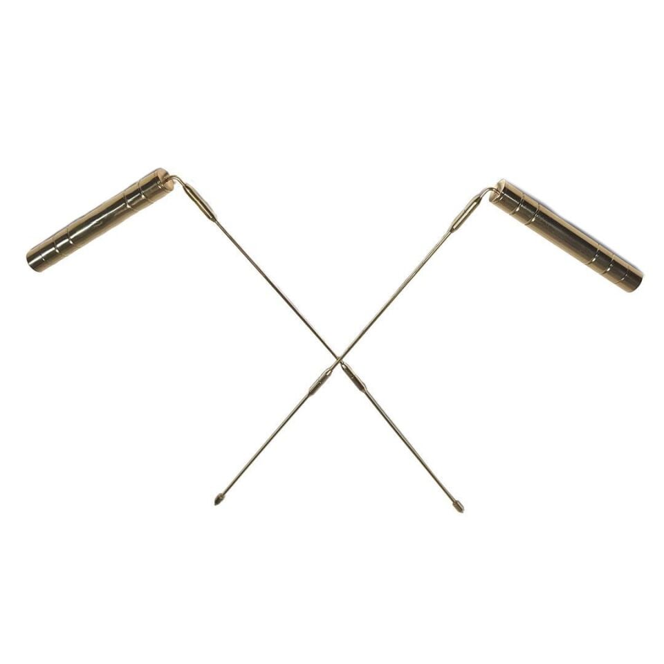 LAGINA LRL Alan Tarama