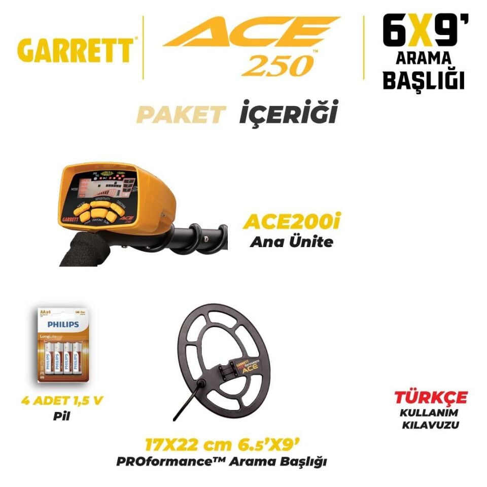 Ace 250 Dedektör