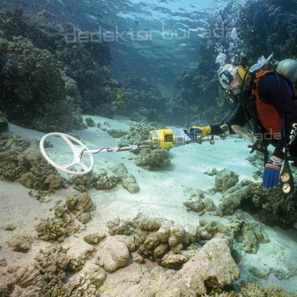 Sea Hunter Mark II Su Altı Dedektörü&Sahil Arama Dedektörü