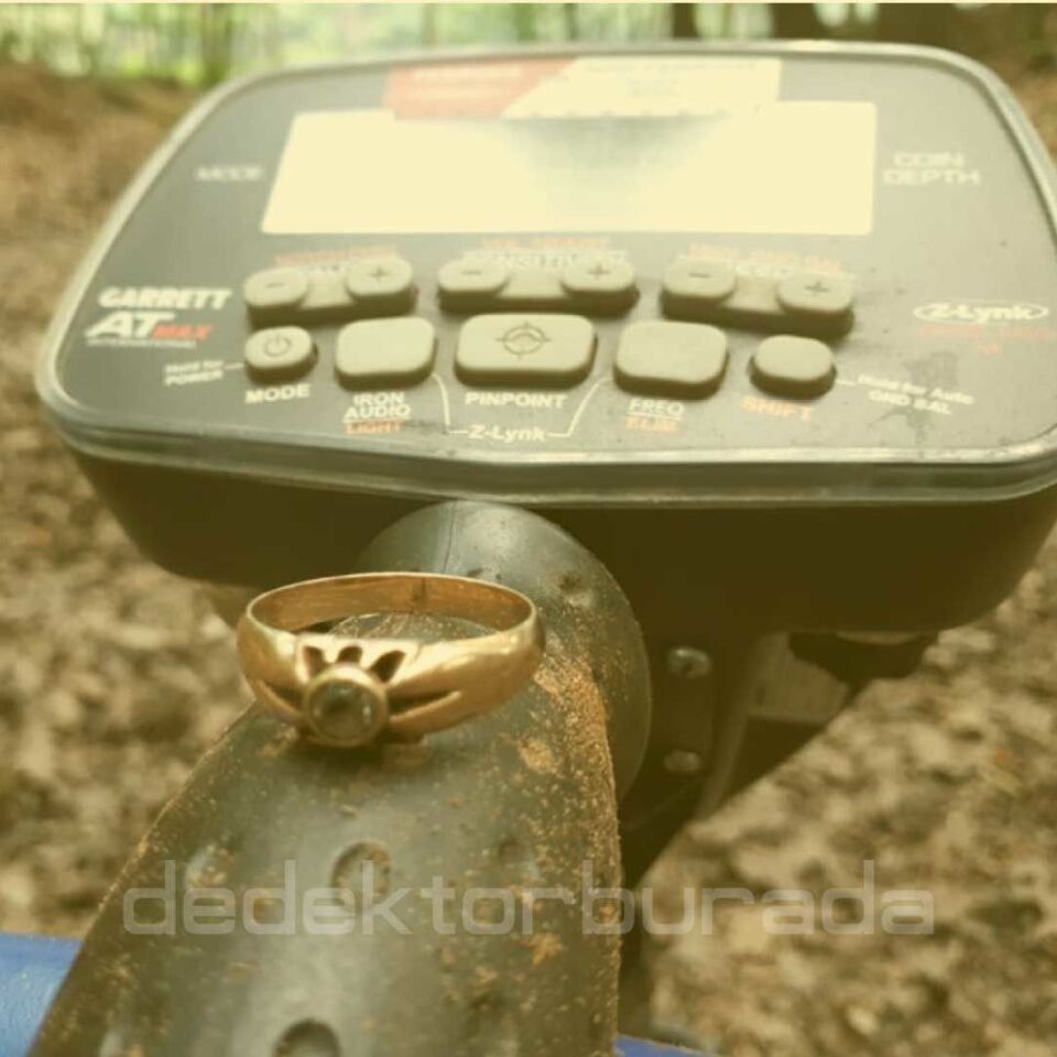 At Max International Dedektör (8,5x11'' DD Başlıkla)