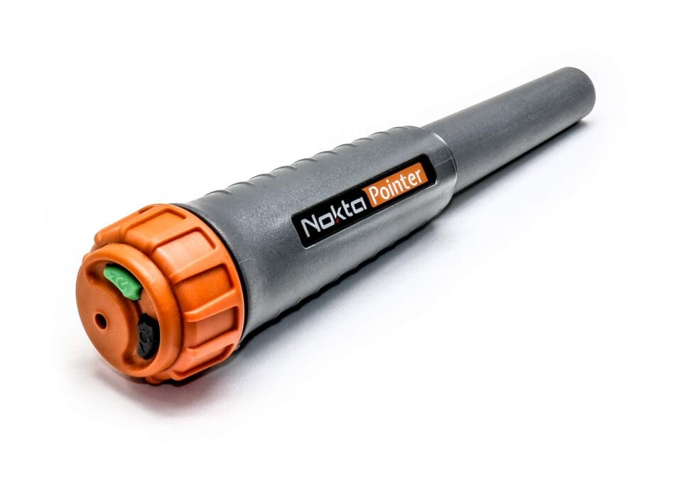 NOKTA POİNTER
